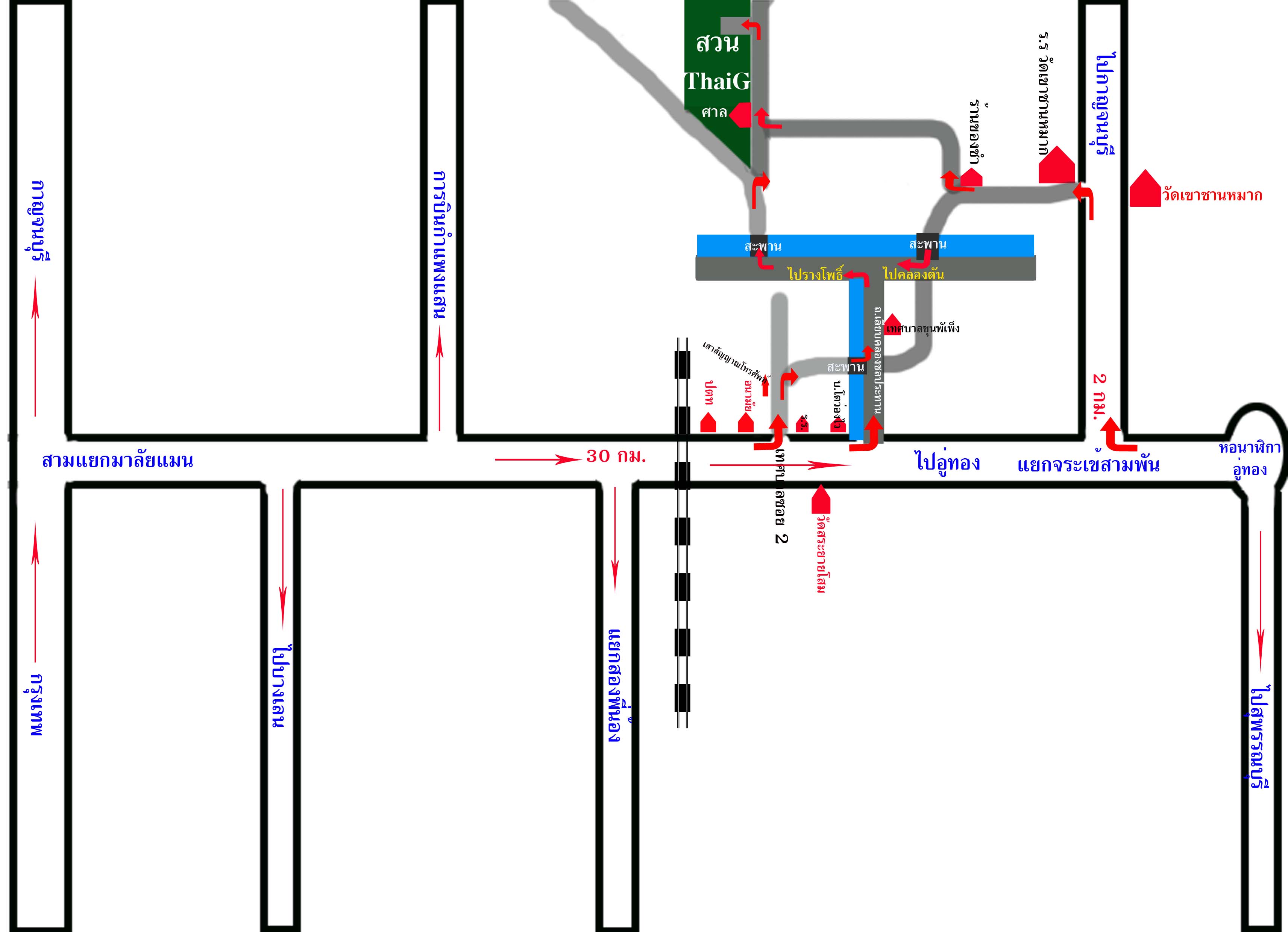 ต้นข่อยดำ สมุนไพรรักษาโรคไต ความดันโลหิตสูงและแก้พิษสัตว์กัดต่อย - ขาย ...